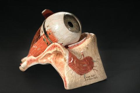 Modelo de ojo