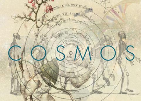 Cosmos